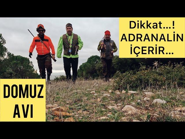 Heyecan adrenalin aksiyon severler ekran başına / domuzun peşinde #avcılık #keşfet #vlog#domuzavi