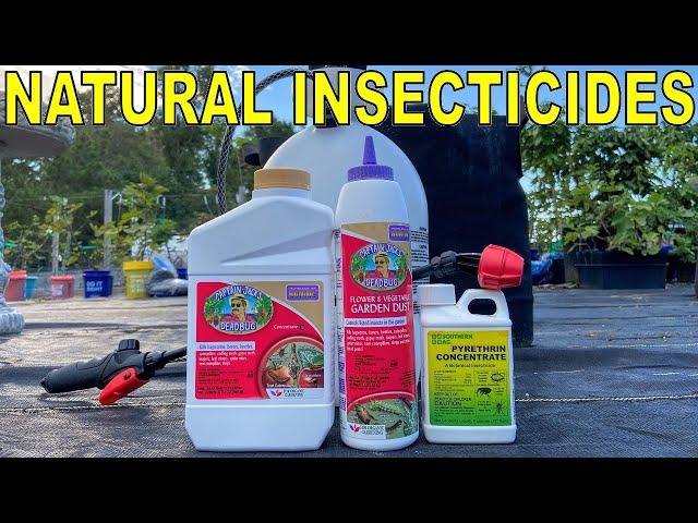 2 Natural Insecticides Every Organic Gardener Should Have