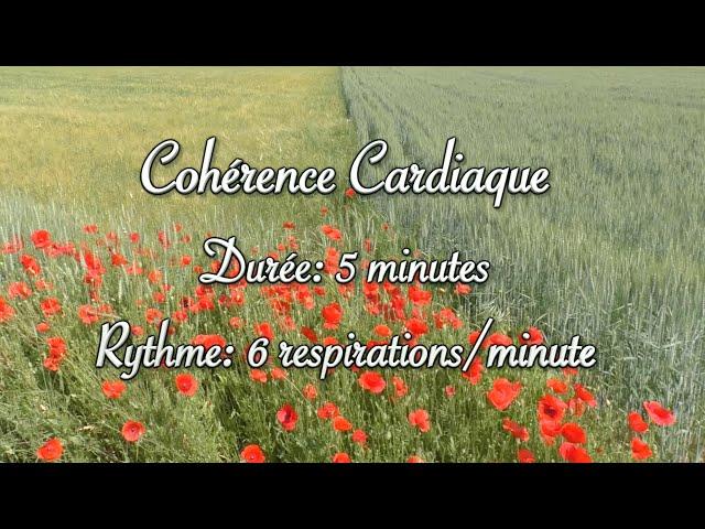 Cohérence cardiaque (cardiac coherence) - coquelicots dans les champs - 6 respirations/minute