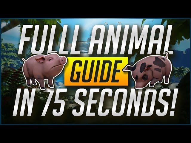 Everything you need to know about animals in a minute!️[Sea Of Thieves Guide]