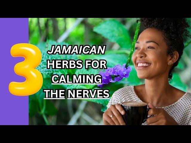 3 JAMAICAN HERBS for CALMING THE NERVES / Earth's Medicine