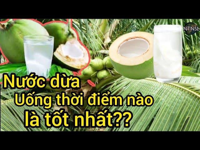 Sức khỏe: Tác dụng của nước dừa, uống nước dừa thời điểm nào tốt nhất? NTN SL