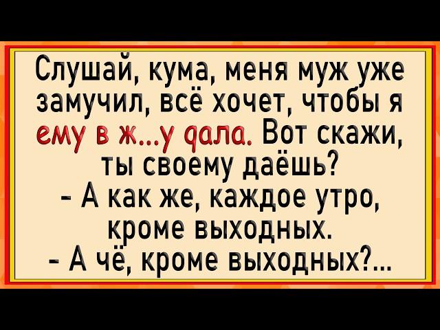 Как жена разрешила мужу! Сборник свежих анекдотов! Юмор!