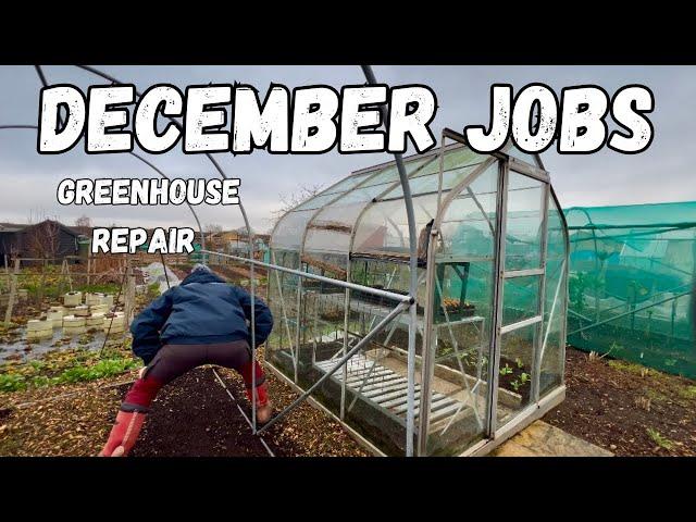 December Allotment Jobs & Greenhouse Repairs - Winter Gardening Tips