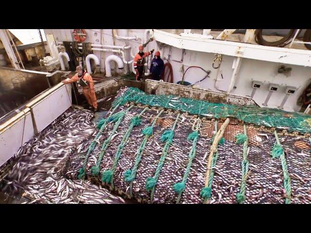 Life On Alaska's Largest Deep-sea Trawling Vessel | Fish Factory On the High Seas