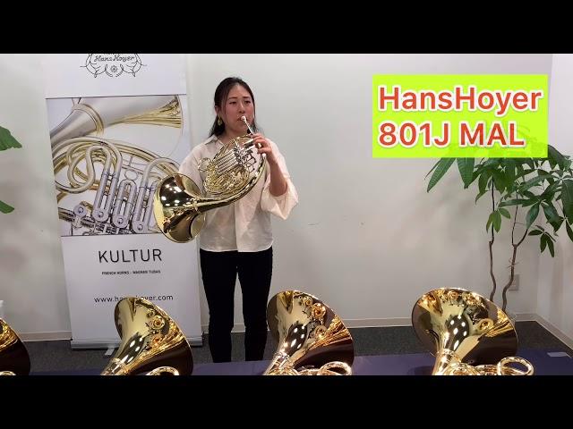 HansHoyer 801JMAL