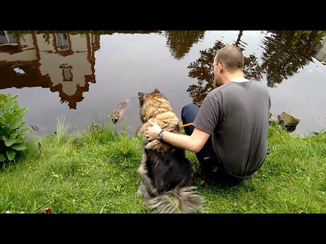 Nutria Französischer Garten Celle