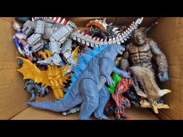 Hunting Found Godzilla, Mecha Godzilla, Kingkong, Monster, Eagle, Ultraman