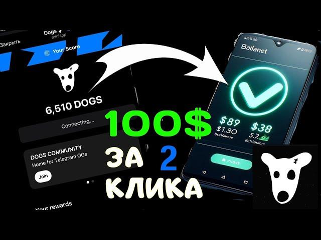 DOGS - самые простые 100$ в моей жизни! И это только начало ! Hamster Kombat на выход.