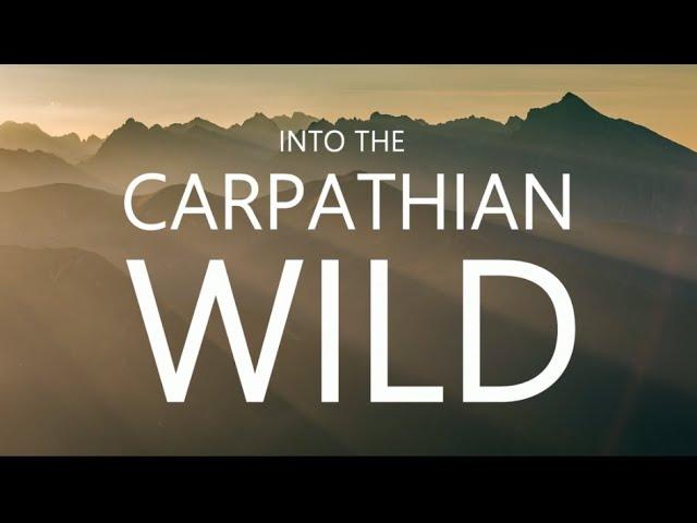 INTO THE CARPATHIAN WILD (trailer)