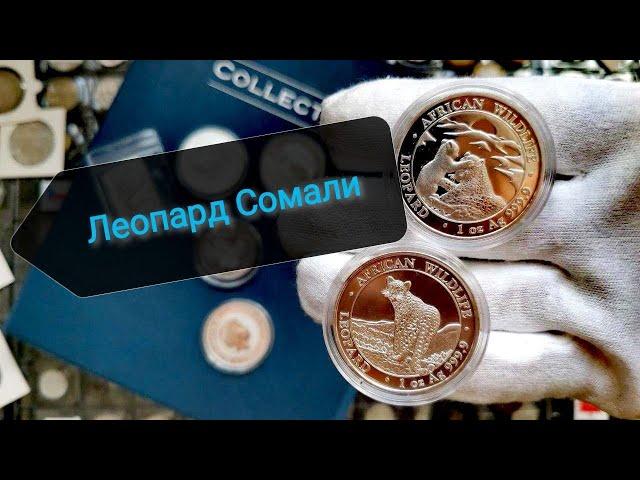 Леопарды Сомали. Серебряные инвестиционные монеты!