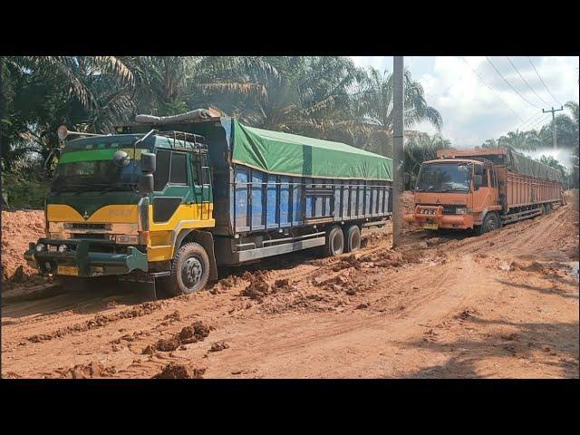 The Most Difficult Situation! Super Long Truck Drivers Have Difficulty Moving On Soft Tracks