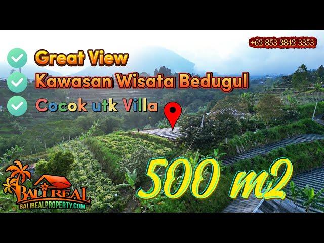  TANAH DIJUAL MURAH di kawasan wisata BEDUGUL Baturiti TABANAN BALI Affordable Land sale TJTB887