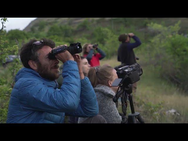 Volunteering for Rewilding Apennines