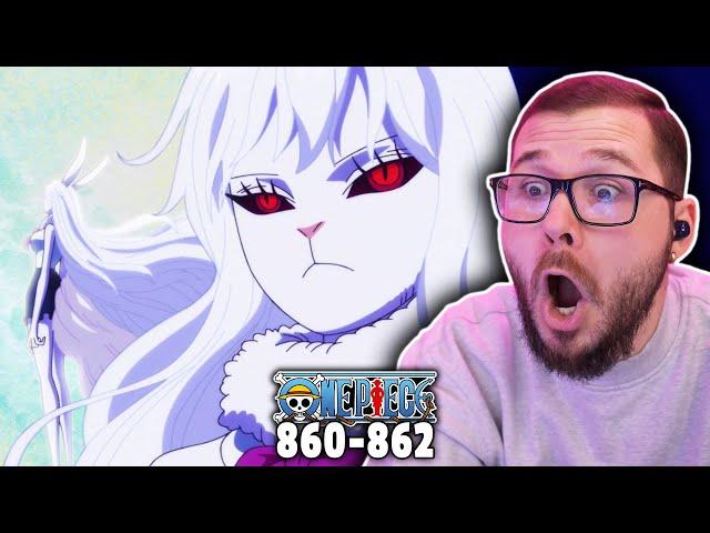 SULONG Carrot! I'm a Furry Now! (One Piece Reaction)