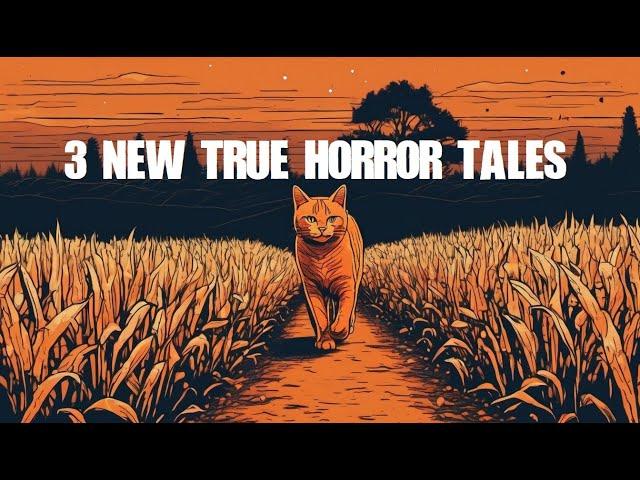 Three New True Horror Tales