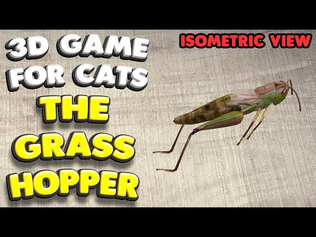 3D game for cats | CATCH THE GRASSHOPPER (isometric view) | 4K, 60 fps, stereo sound