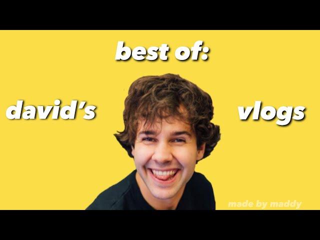 best of: david’s vlogs