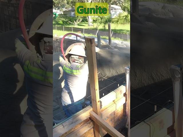 Gunite #shorts #shortsvideo