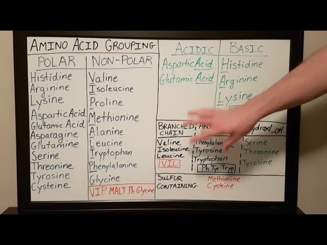 Amino Acid Grouping - Basics for Beginners - Biochemistry Lesson