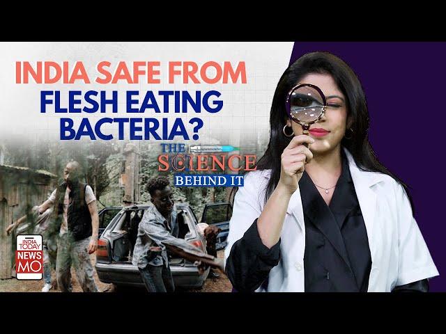 Japan's Battles Flesh-Eating Bacteria That Can Kill In Days, Is India Safe? | Science Behind It