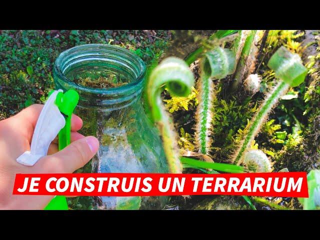 Je construis un terrarium dans un vieux vase