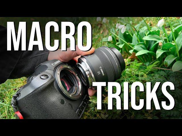 I LOVE these easy macro photography tricks (Tutorial with ideas and editing)