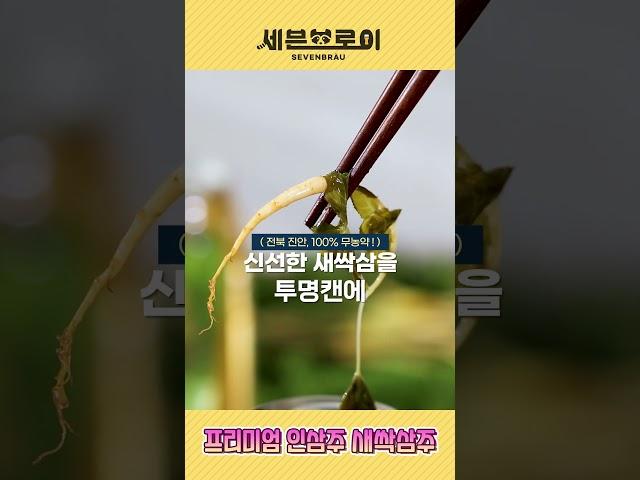 유월스튜디오 [숏폼, 바이럴영상제작] / 홍보영상 세븐브로이 새싹삼주