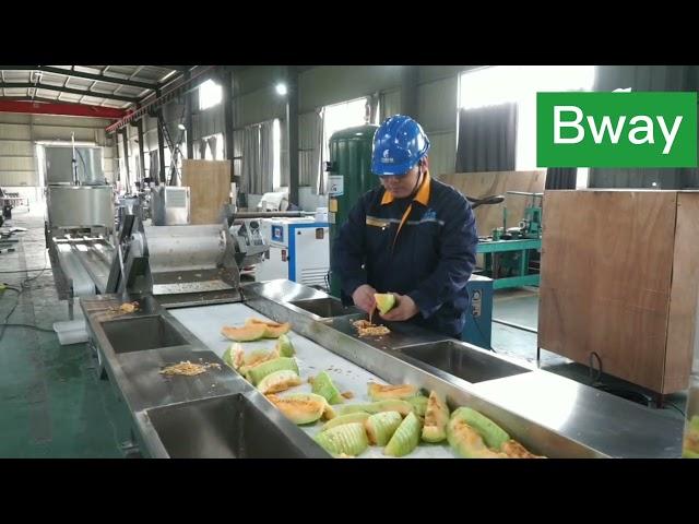 cantaloupe dice processing line factory video 2tons per hour