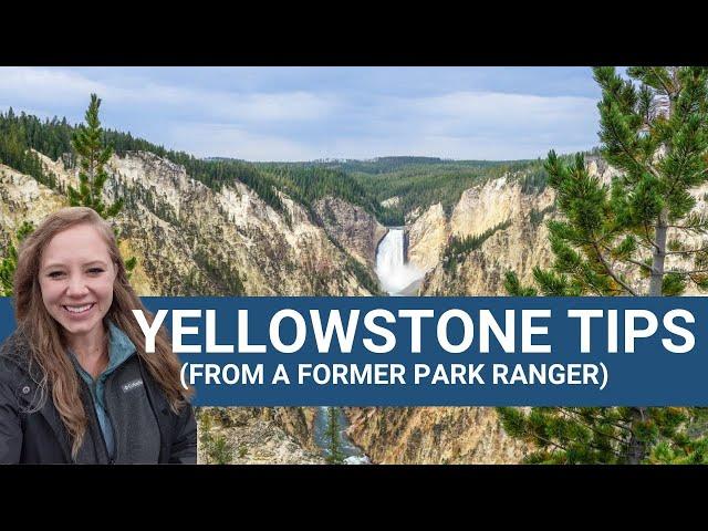 Yellowstone National Park Tips | 5 Things to Know Before You Go!