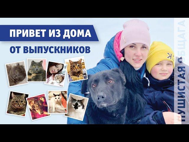 ПРИВЕТЫ ИЗ ДОМА ОТ ВЫПУСКНИКОВ