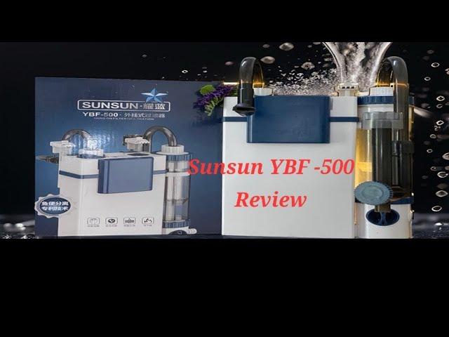 Sunsun YBF-500 Review #aquarius #shortsvideo #aquascape #pets #aquariumhobby #fishtank #fish #nature