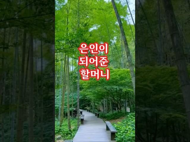누구에게나 은인은 있네요. #라디오드라마 #사연 #사연라디오 #지방러 #자취러 #감동사연