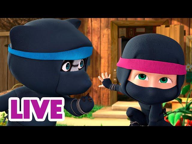  LIVE  Masha y el Oso 2024  Pareces un panda  Masha and the Bear