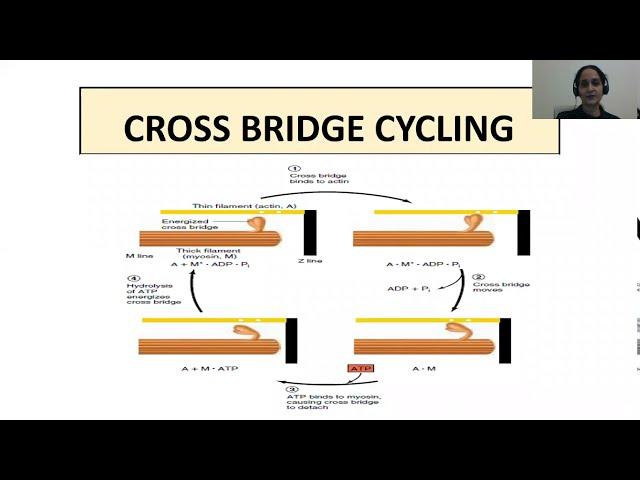 CROSS BRIDGE CYCLING