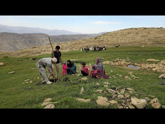 IRAN nomadic life | The Kuhgol family planted some trees in Sar Sabz spring and Tigdali grass