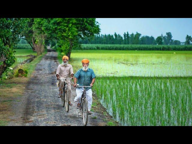 Pakistan Village Life | Punjab Fields & Beautiful Scenes 2018