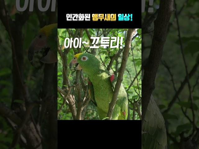 아빠 왜? 나한테 짜증내?