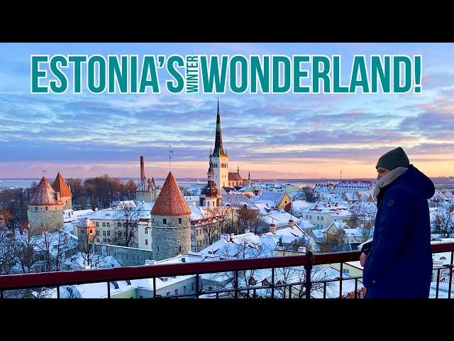 Serene Tallinn Streets | Estonia In January 2024