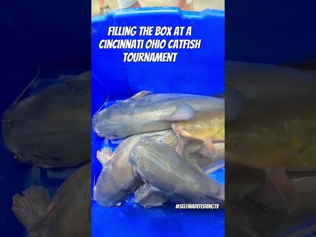 Cincinnati Catfish Tournament ACTION Caught on Camera!