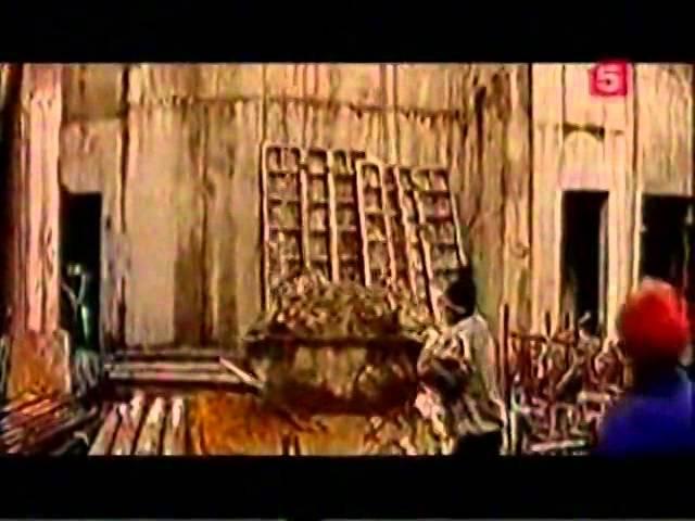 Фрагмент телепередачи Человек.Земля.Вселенная.