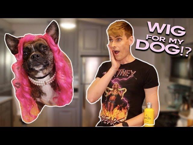 MAKING A WIG FOR MY DOG!? | Shop Will Beauty