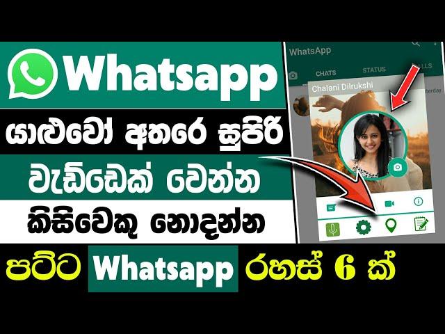 Top 6 whatsapp secret tips and tricks in sinhala | whatsapp tricks and tips