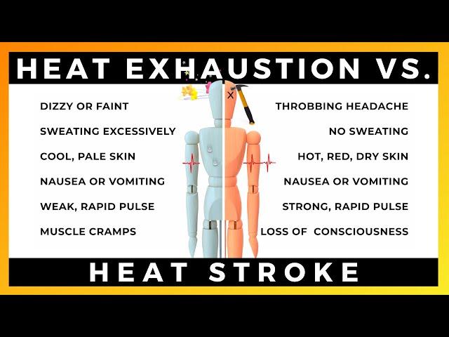 HEAT EXHAUSTION VS. HEAT STROKE TOOLBOX TALK | By Ally Safety