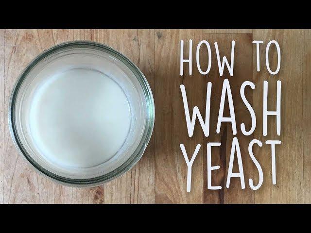 How to wash brewing yeast for re-use in mead, beer, cider, and wine | Brewin' the Most