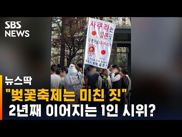 "벚꽃축제는 미친 짓"…2년째 이어지는 1인 시위? / SBS / 뉴스딱