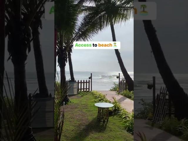 Sea Facing Suite In Morjim Beach Goa. #shorts #goa #views #viral #trending #ytshorts #viral #short