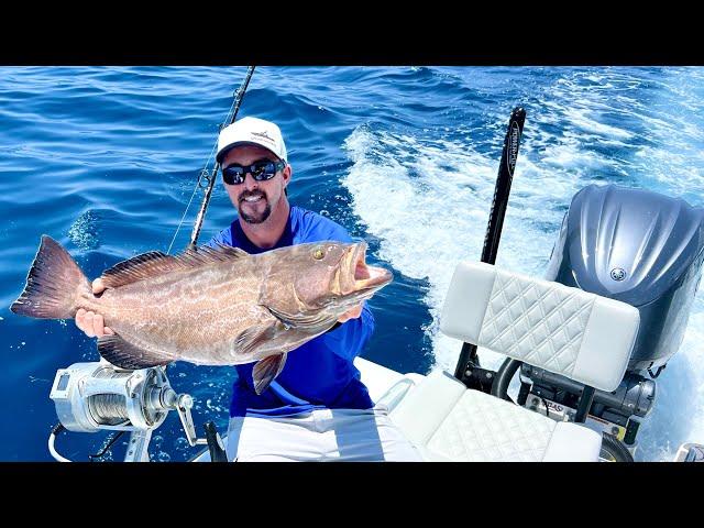 BLACK GROUPER REVENGE on the 28' Freeman! (Catch Clean Cook - Piccata Style)