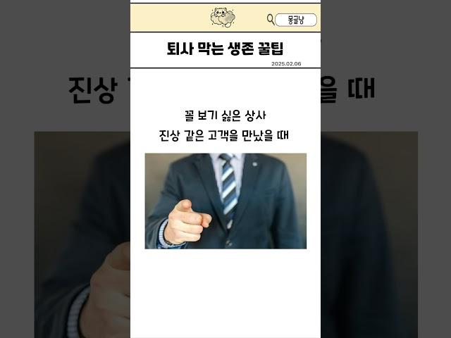 회사 오래버티기 꿀팁 앙딱정