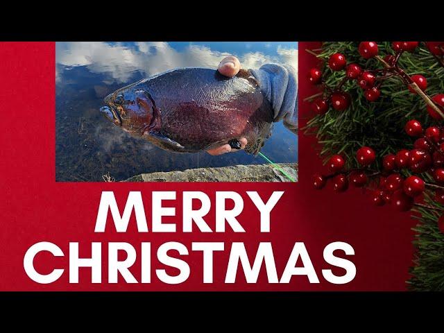 Lake Fishing Winter Trout Slam!  (Merry Christmas)